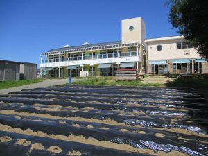 🌱6月の園庭・畑の様子🌱